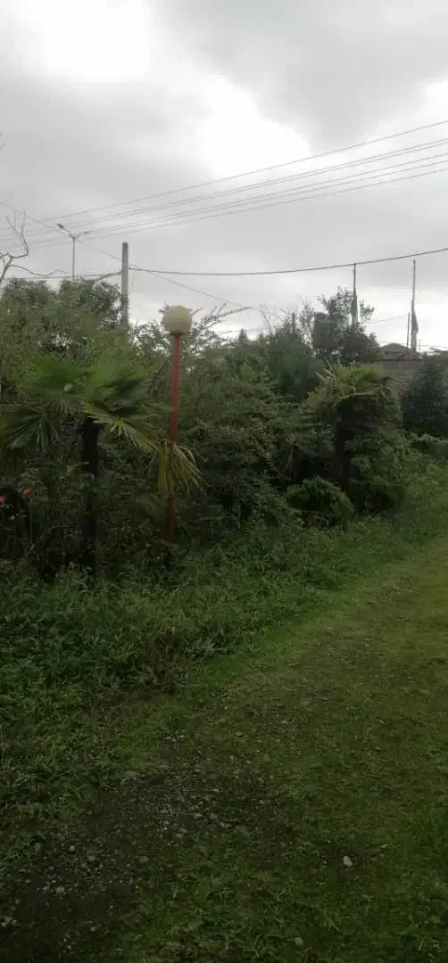 باغ ویلا ۲۷۰۰ متری بر اتوبان قابل تهاتر|فروش زمین و ملک کلنگی|رامسر, |دیوار