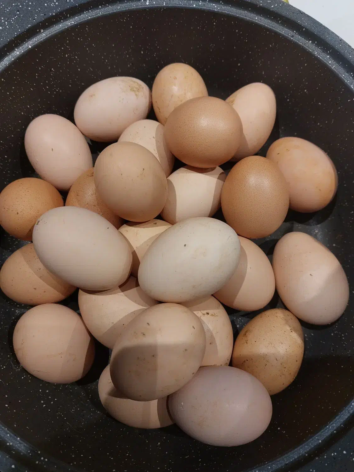 تخم مرغ محلی ۸ تومن تولید روزانه|خوردنی و آشامیدنی|قوچان, |دیوار