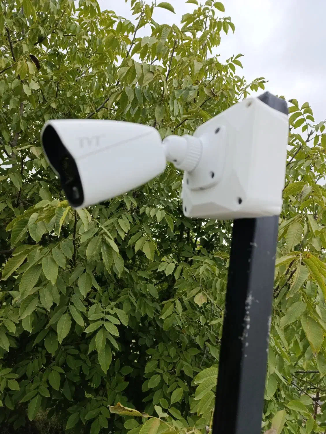 نصب دوربین مداربسته ، دزدگیر ، کرکره برقی|دوربین مداربسته|ساری, |دیوار