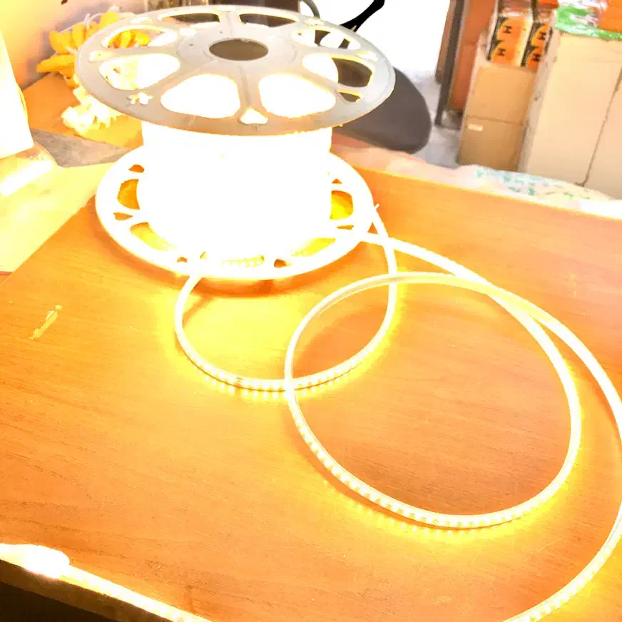 پخش عمده و خرده ریسه شلنگ نورمخفی با ۲ سال گارانتی|ریسه و چراغ تزئینی|تبریز, |دیوار