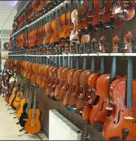 تخفیف ویولن به مناسبت روز دانشجو|ویولن|شیراز, سیلو|دیوار