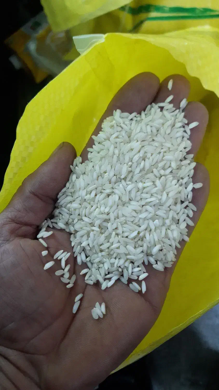 برنج عنبر بو|خوردنی و آشامیدنی|دزفول, |دیوار