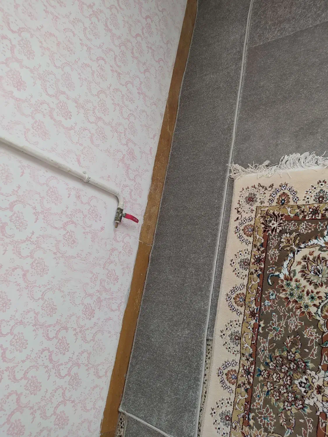 موکت کناره طوسی|موکت|ایلام, |دیوار