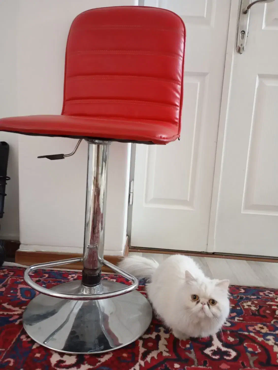 صندلی اپن یا کوتاهی|صندلی و نیمکت|ارومیه, |دیوار