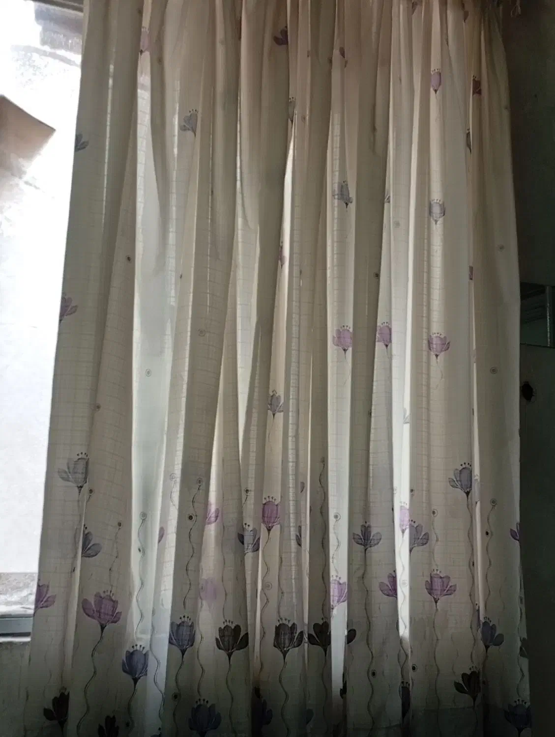 دوعدد پرده|پرده، رانر، رومیزی|مشهد, شهید آوینی|دیوار