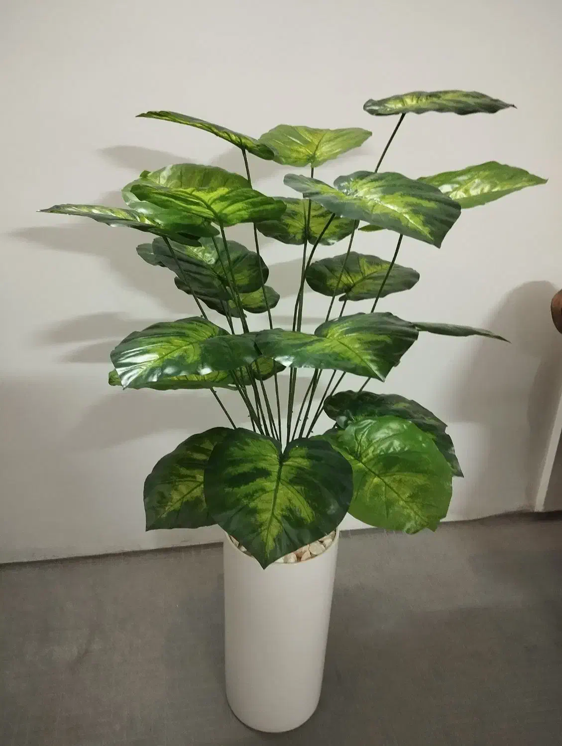 گلهای مصنوعی کنار سالنی|گل مصنوعی|مشهد, شهرک مهر آباد|دیوار