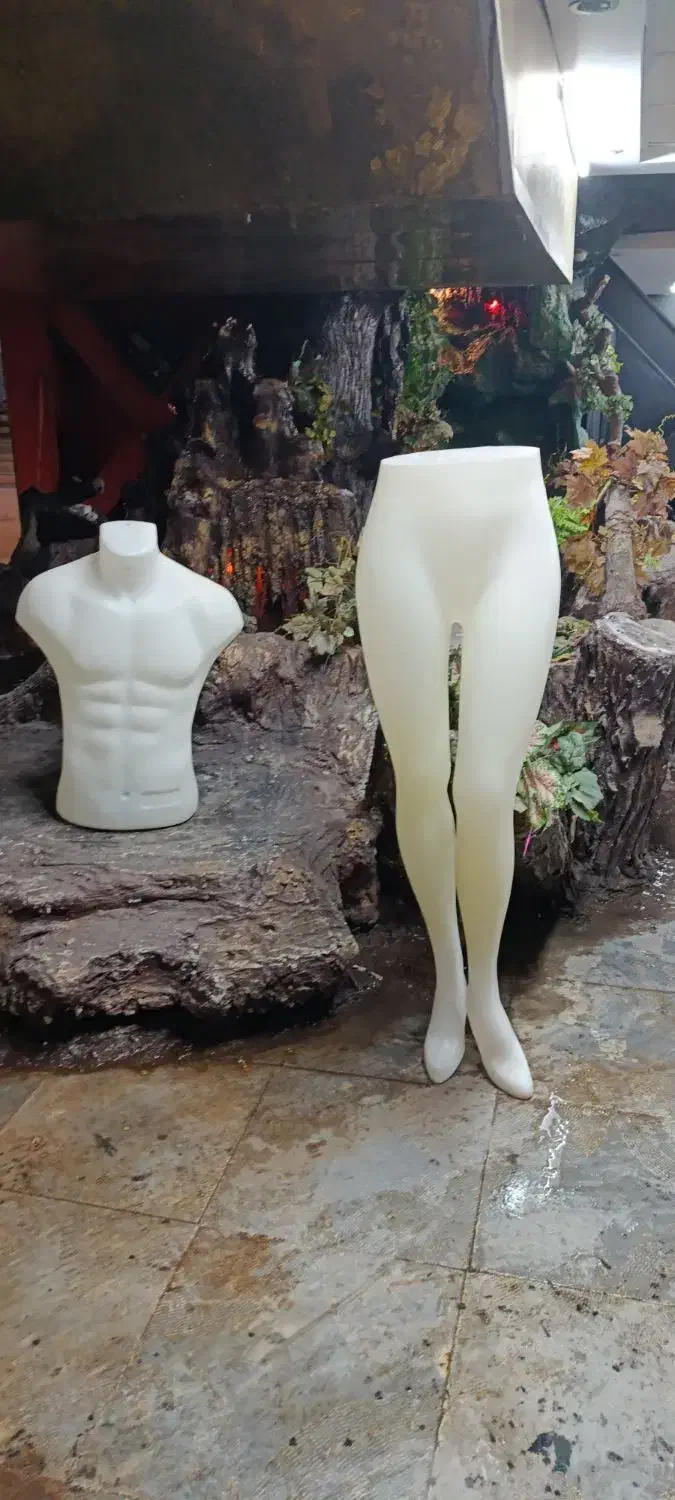 مانکن بالاتنه مردانه و زنانه|فروش مغازه و غرفه|آستارا, |دیوار