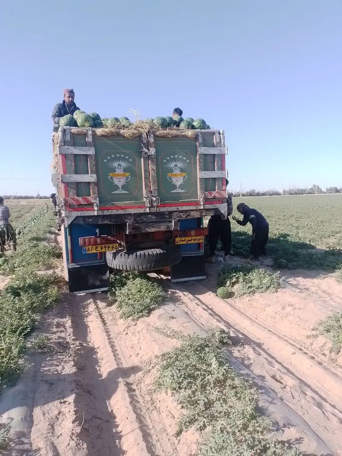 بنز تک|خودرو سنگین|کرمان, |دیوار