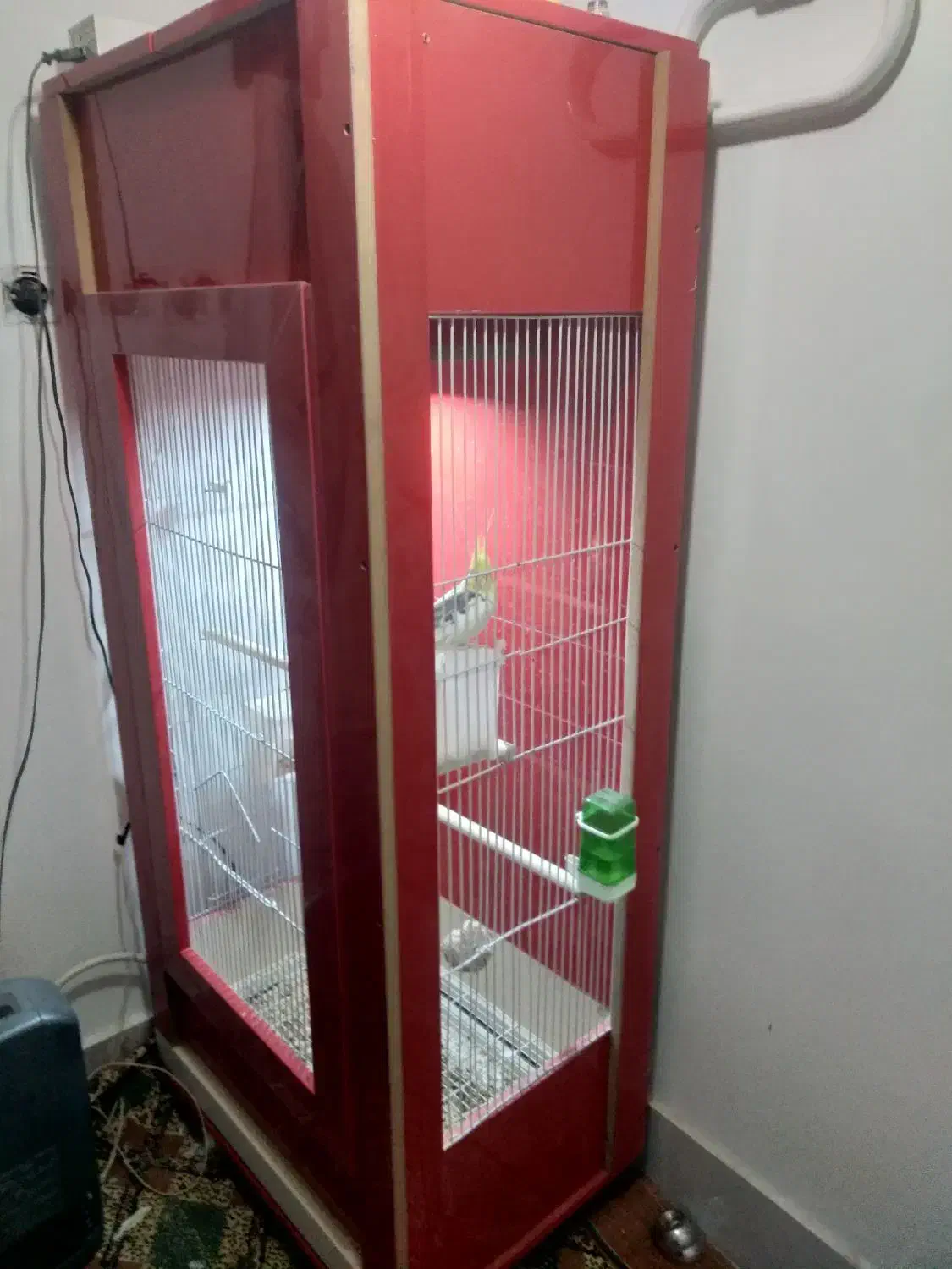 قفس|لوازم جانبی حیوانات|تربت‌حیدریه, باغ سلطانی|دیوار