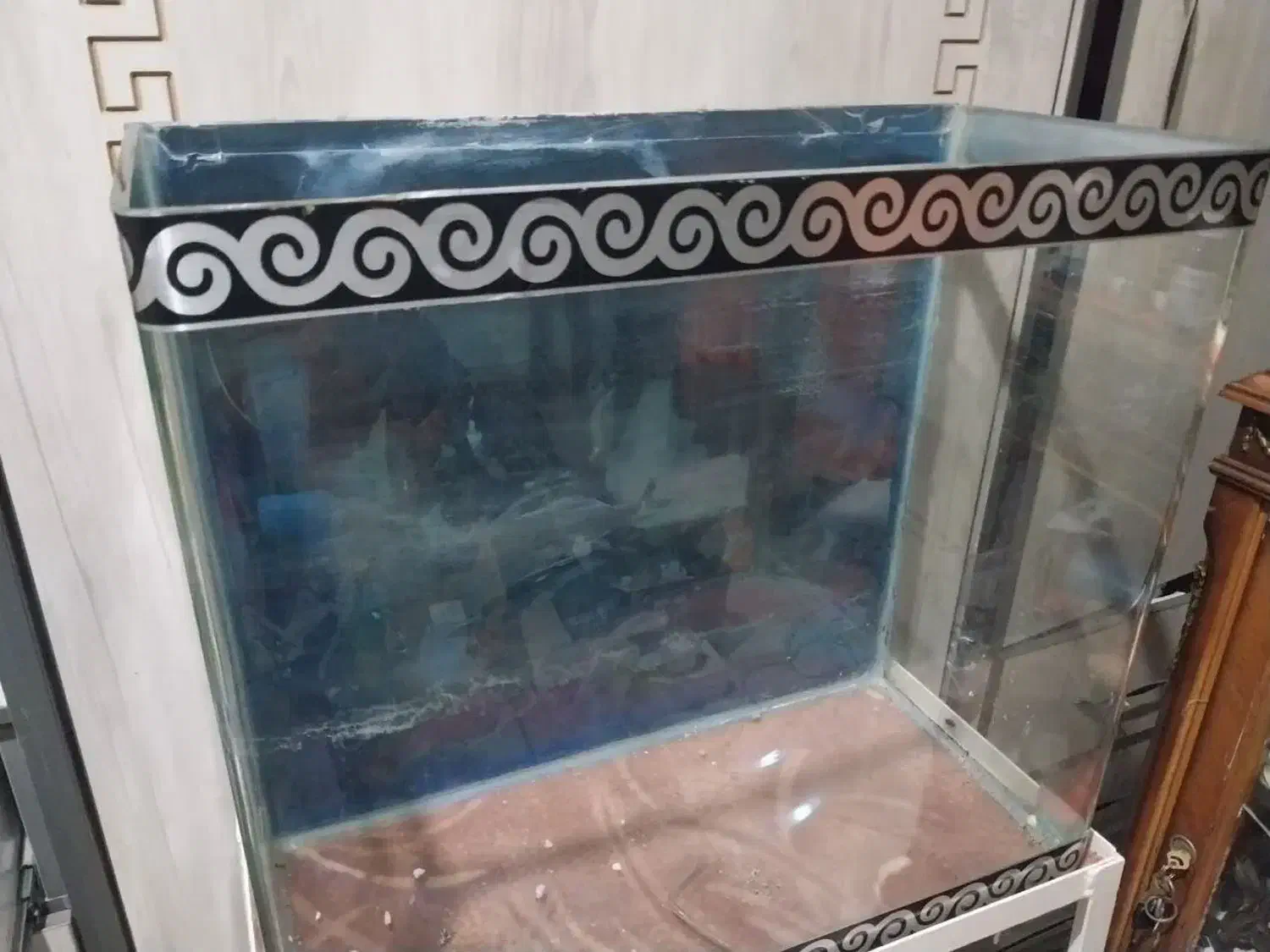 آکواریوم شیشه خم|ماهی|تهران, توحید|دیوار