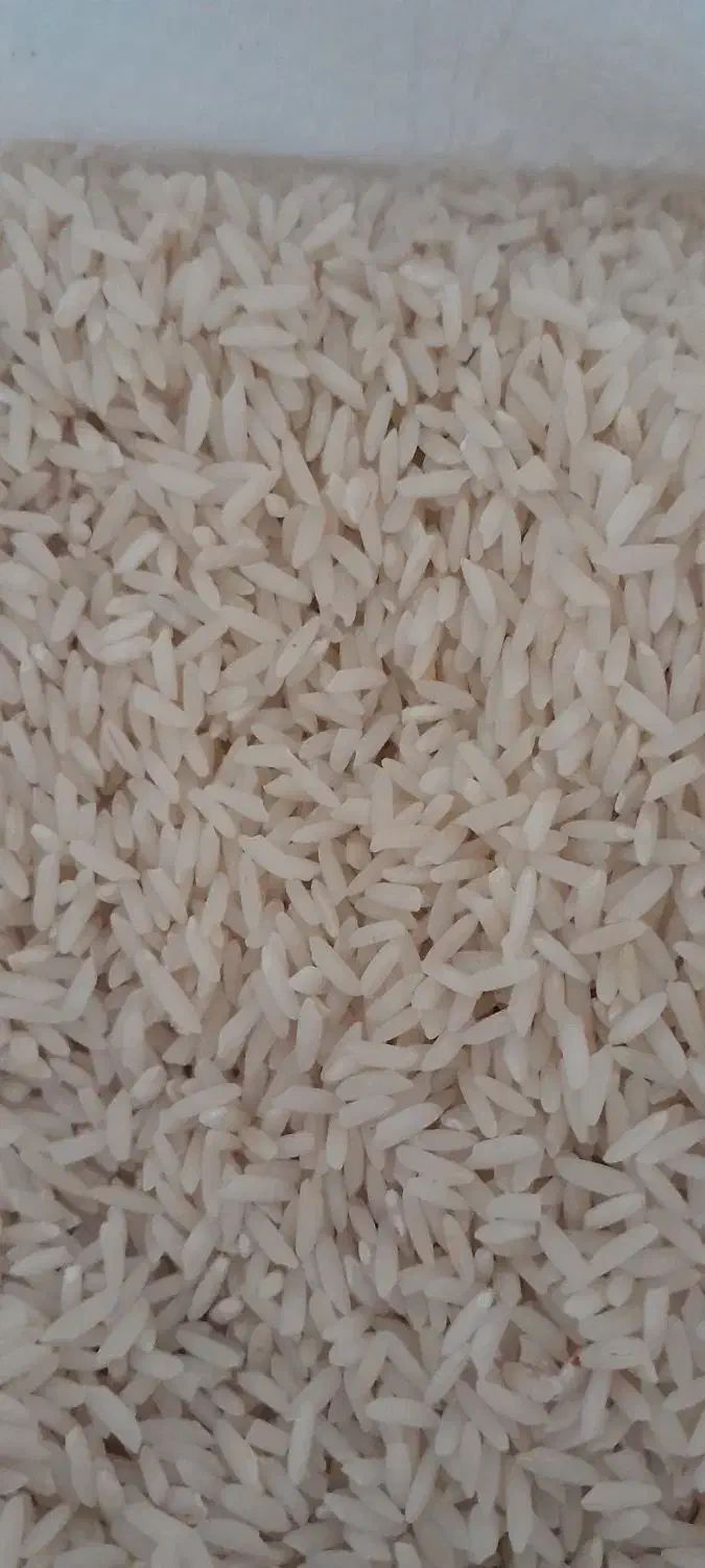 برنج علی کاظمی چغلوندی کاسیان|خوردنی و آشامیدنی|بیرانوند, |دیوار