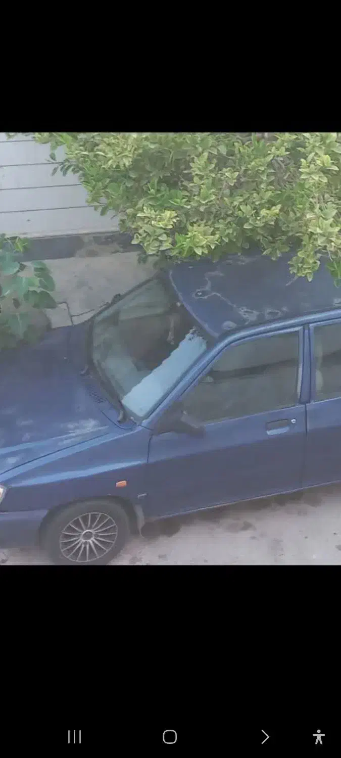 هاچپک ۱۱۱ کاربنی مدل ۹۱|خودرو سواری و وانت|بوشهر, |دیوار