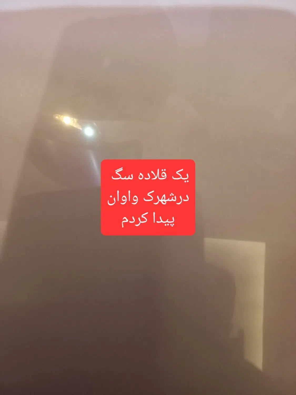 دنبال صاحب سگ هستم|حیوانات|اسلام‌شهر, شهرک واوان|دیوار