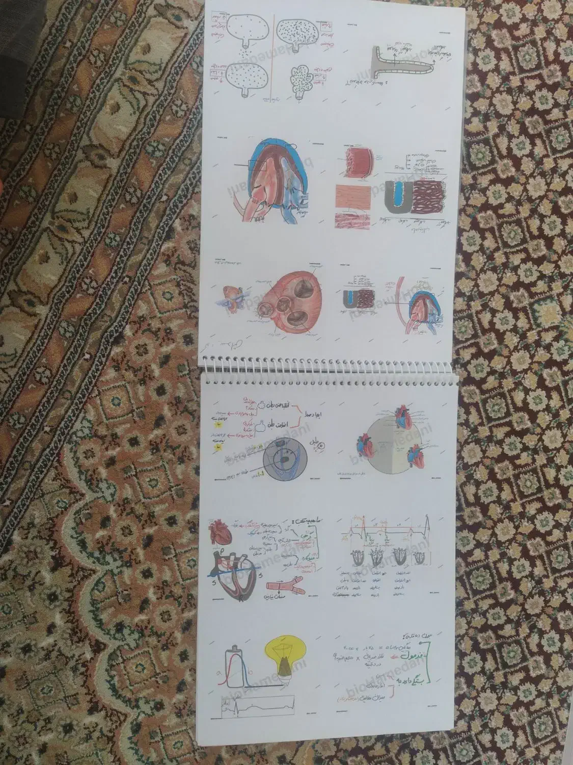 جزوه رنگی نموداری همدانی|کتاب و مجله آموزشی|شیراز, مسلم|دیوار