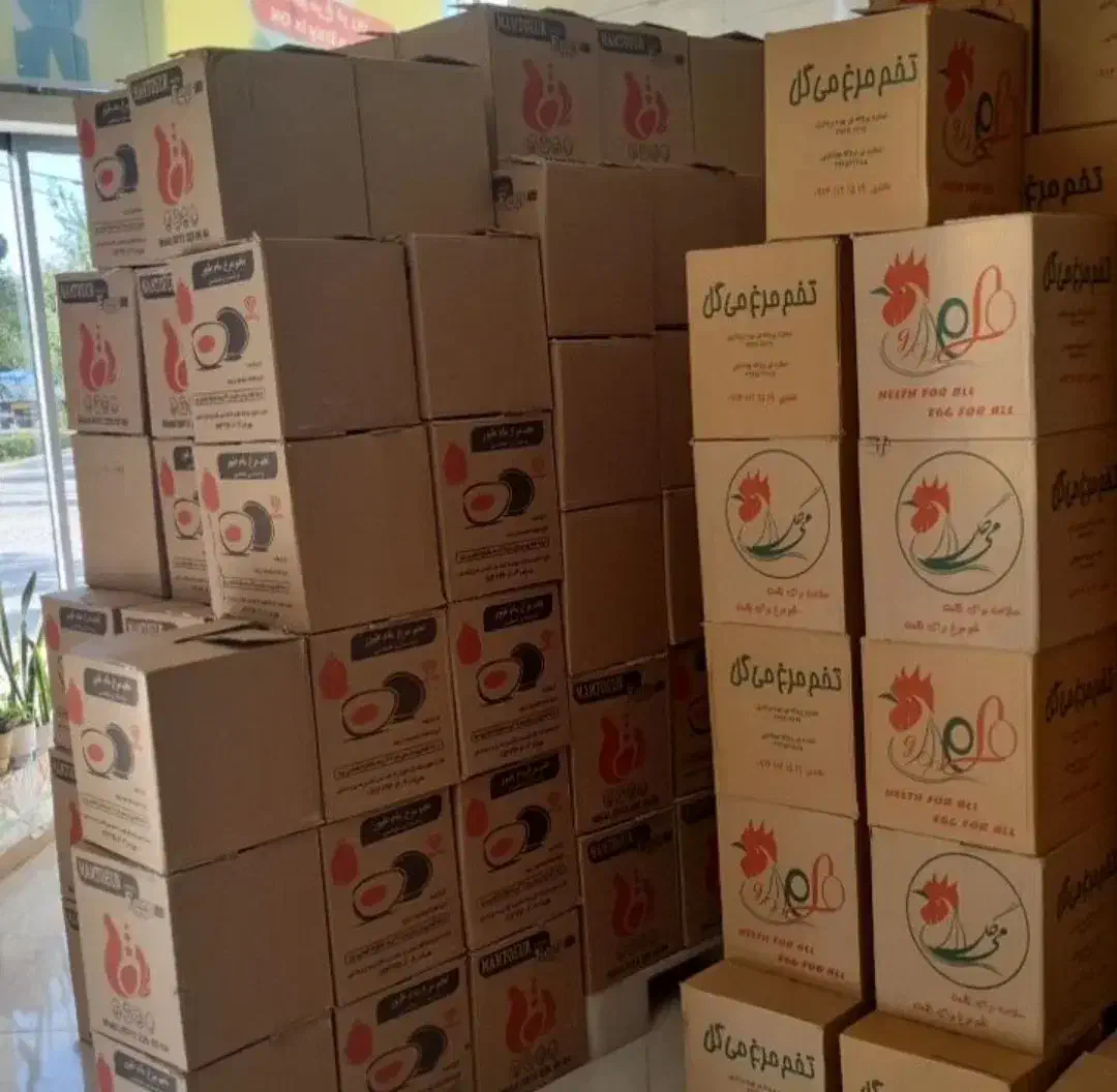 تخم مرغ عمده|خوردنی و آشامیدنی|شیراز, ارم|دیوار