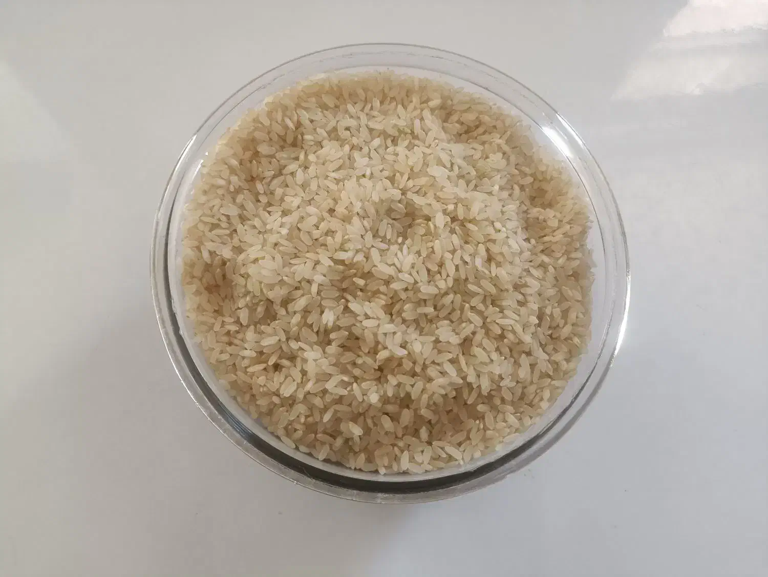 برنج کامفیروزی درجه یک|خوردنی و آشامیدنی|صدرا-فارس, فاز ۱|دیوار