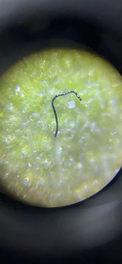 میکروسکوپ medic m 826|لوازم التحریر|کرج, جهان‌شهر|دیوار