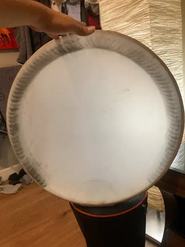 دف حبیبی|سازهای سنتی|تهران, سوهانک|دیوار