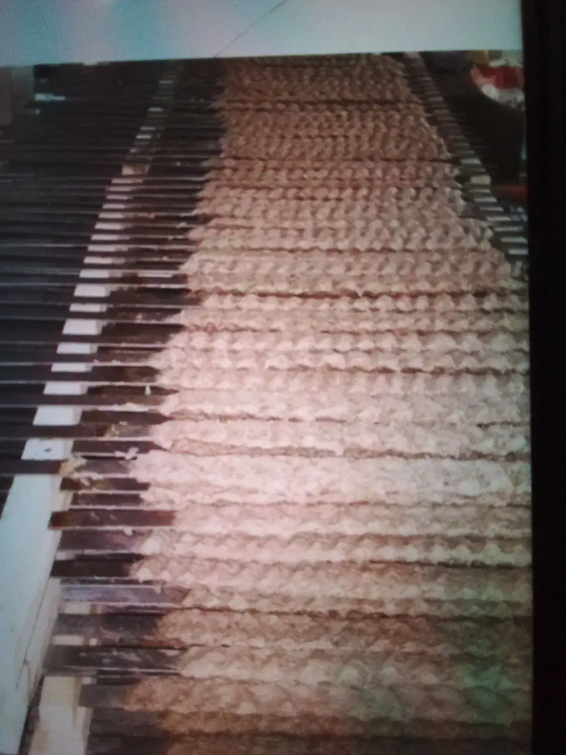 تهیه غذا شاد شام|خدمات پذیرایی، مراسم|بروجرد, |دیوار