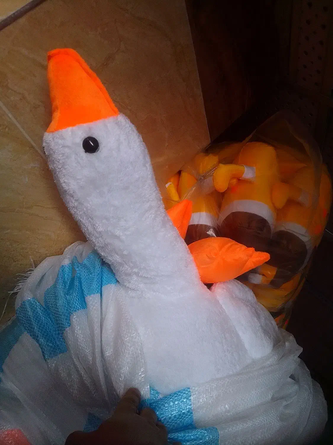 فقط بپرسید تا آگاه شوید . ( عروسک داریم )|اسباببازی|لاهیجان, طالقانی|دیوار