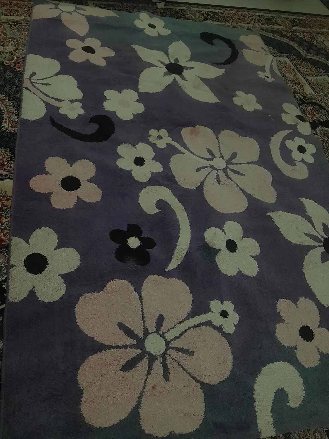 قالی 6 متری|فرش|نیشابور, شهید بهشتی|دیوار