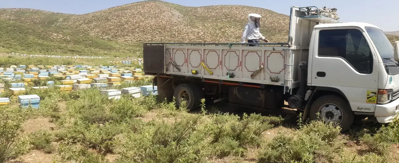 ایسوزو کرایه محدوده شهربابک|خدمات حمل و نقل|شهر بابک, |دیوار