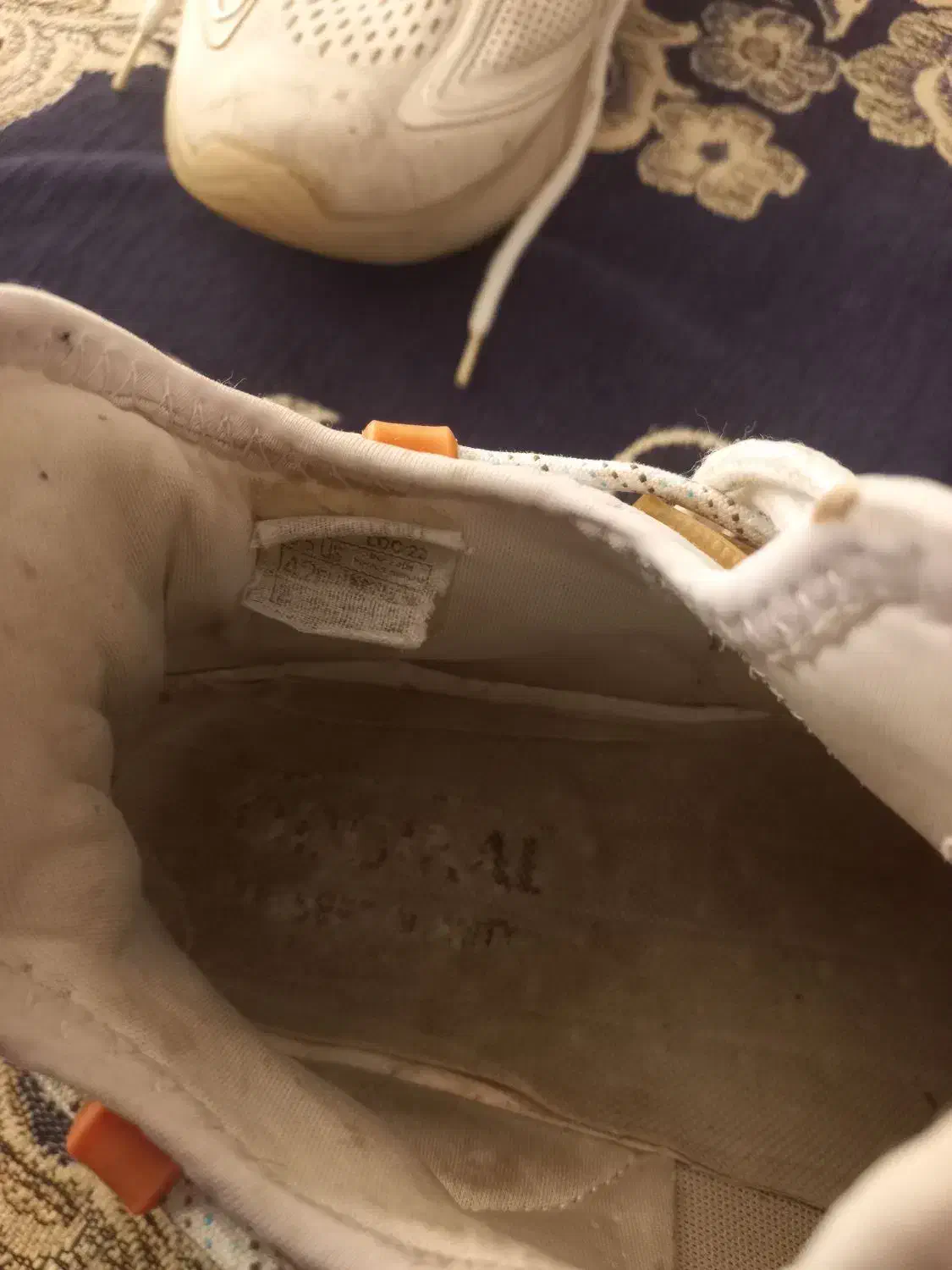 کفش|کیف، کفش، کمربند|صحنه, |دیوار