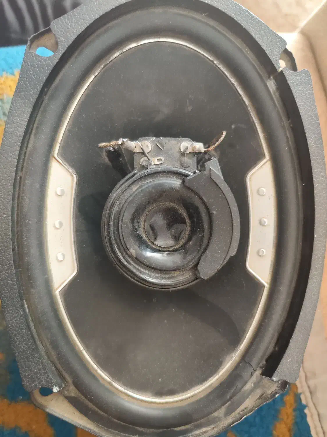 حراجی|حراج|شیراز, انجیر|دیوار