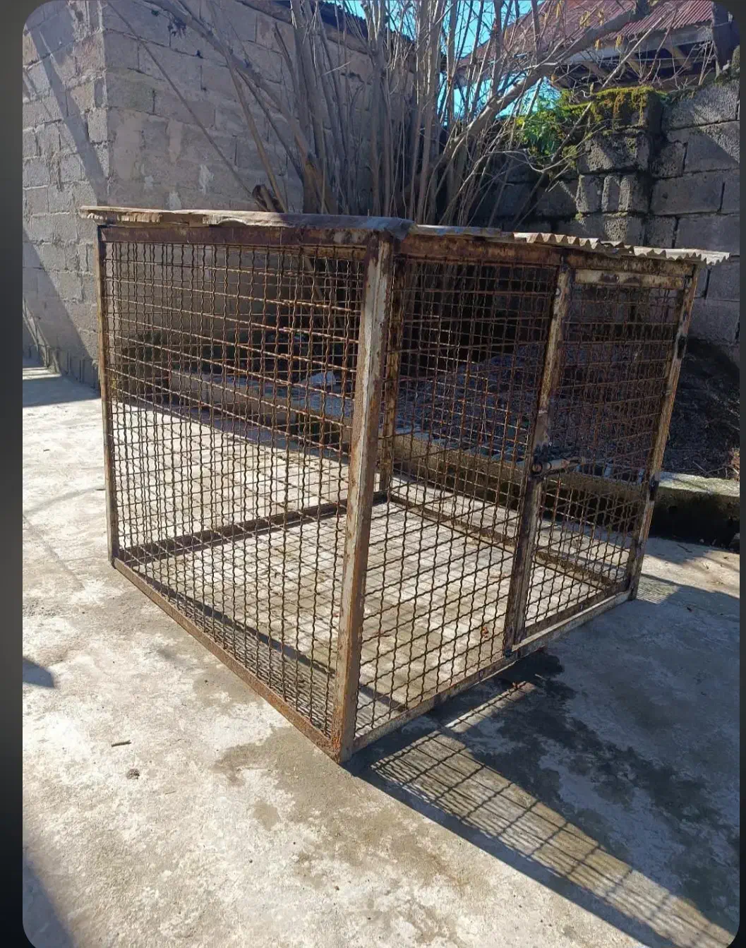 قفس اهنی|لوازم جانبی حیوانات|لاهیجان, بازکیاگوراب|دیوار