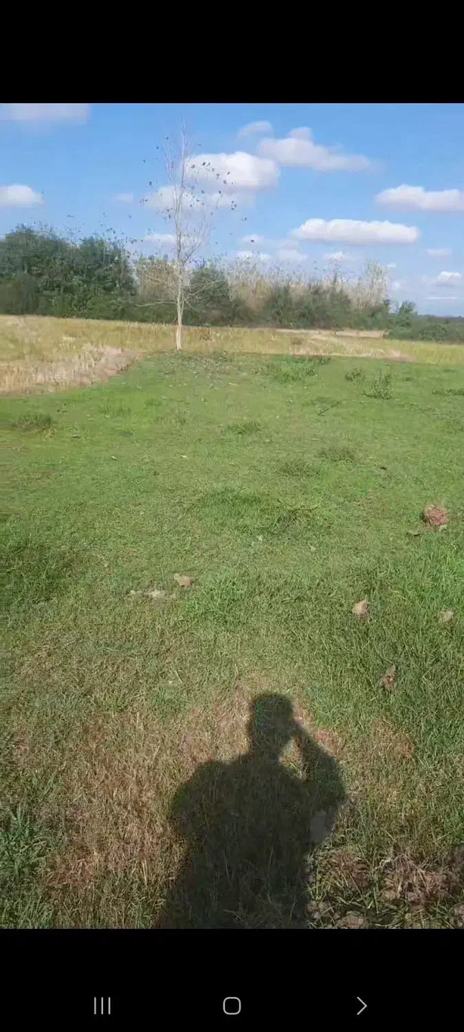 فروش زمین|فروش زمین و ملک کلنگی|طاهرگوراب, |دیوار