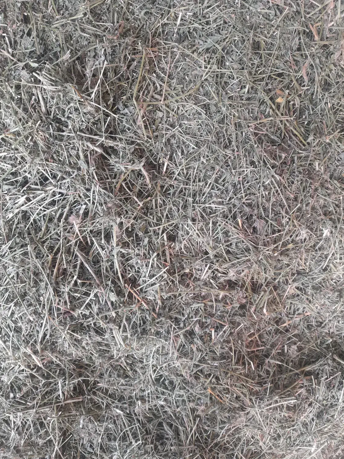 یونجه درجه ۱|عمدهفروشی|دوتپه, |دیوار