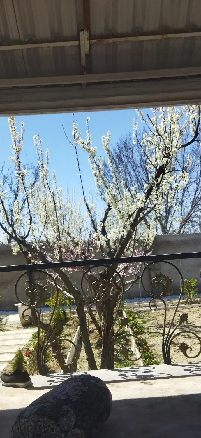 فروش باغ ویلا|فروش خانه و ویلا|هشتگرد, ایقربلاغ|دیوار