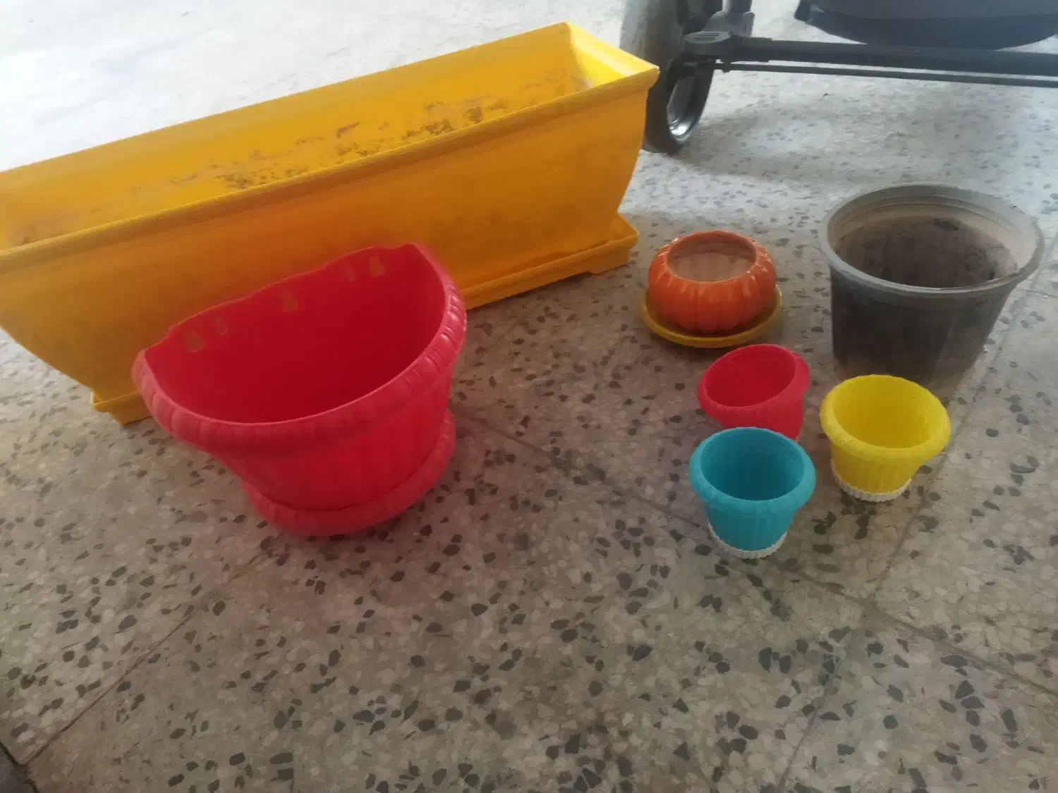 گلدان|گل و گیاه طبیعی|شیراز, آزادگان|دیوار