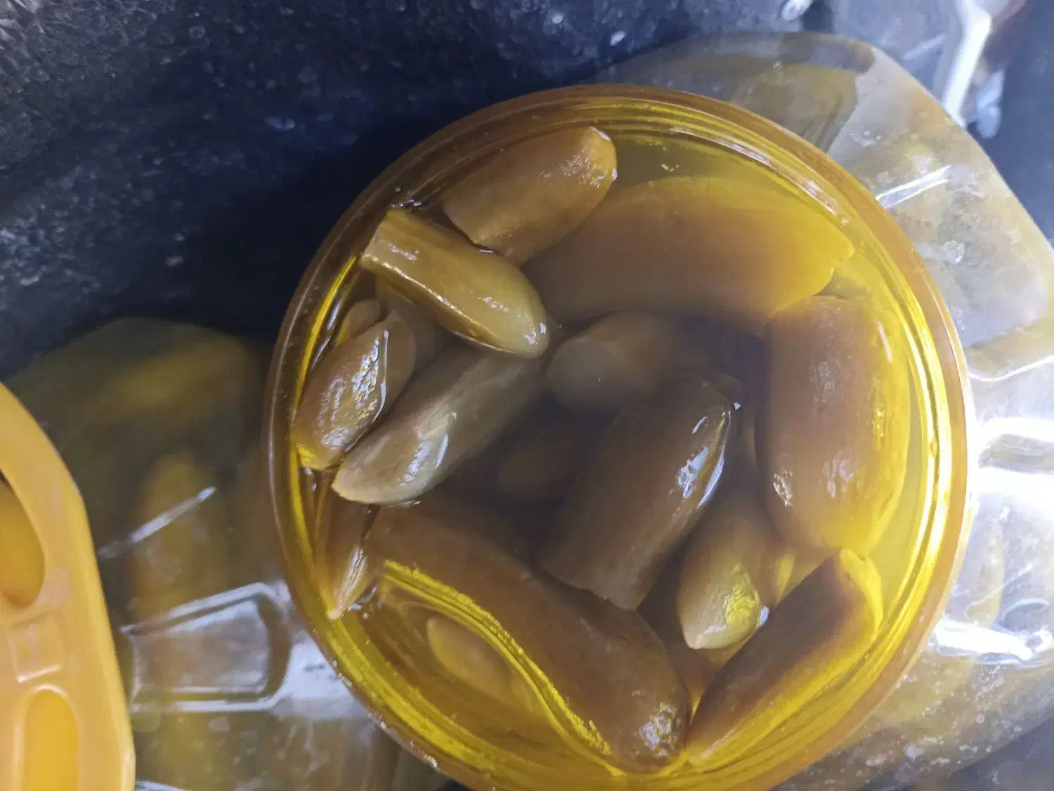 خیارشور شکسته ریز و  درشت مخلوط|خوردنی و آشامیدنی|شیراز, کوشک میدان|دیوار