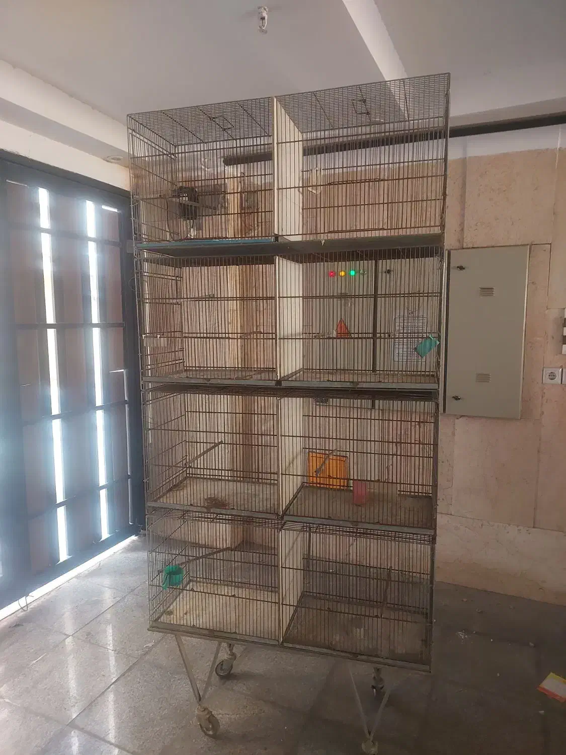 قفس هشت خان (غلامی)|لوازم جانبی حیوانات|تهران, قیام|دیوار