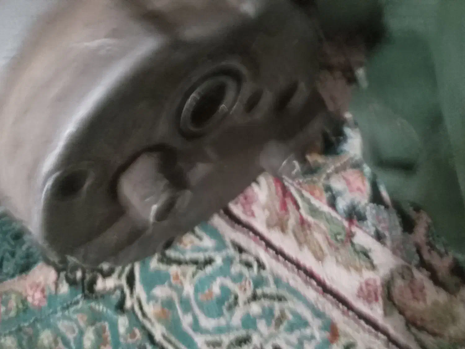 فروش فوری کمپرسورموتورپژو۴۰۵ موتورفرانسه|قطعات یدکی و لوازم جانبی|بم, |دیوار