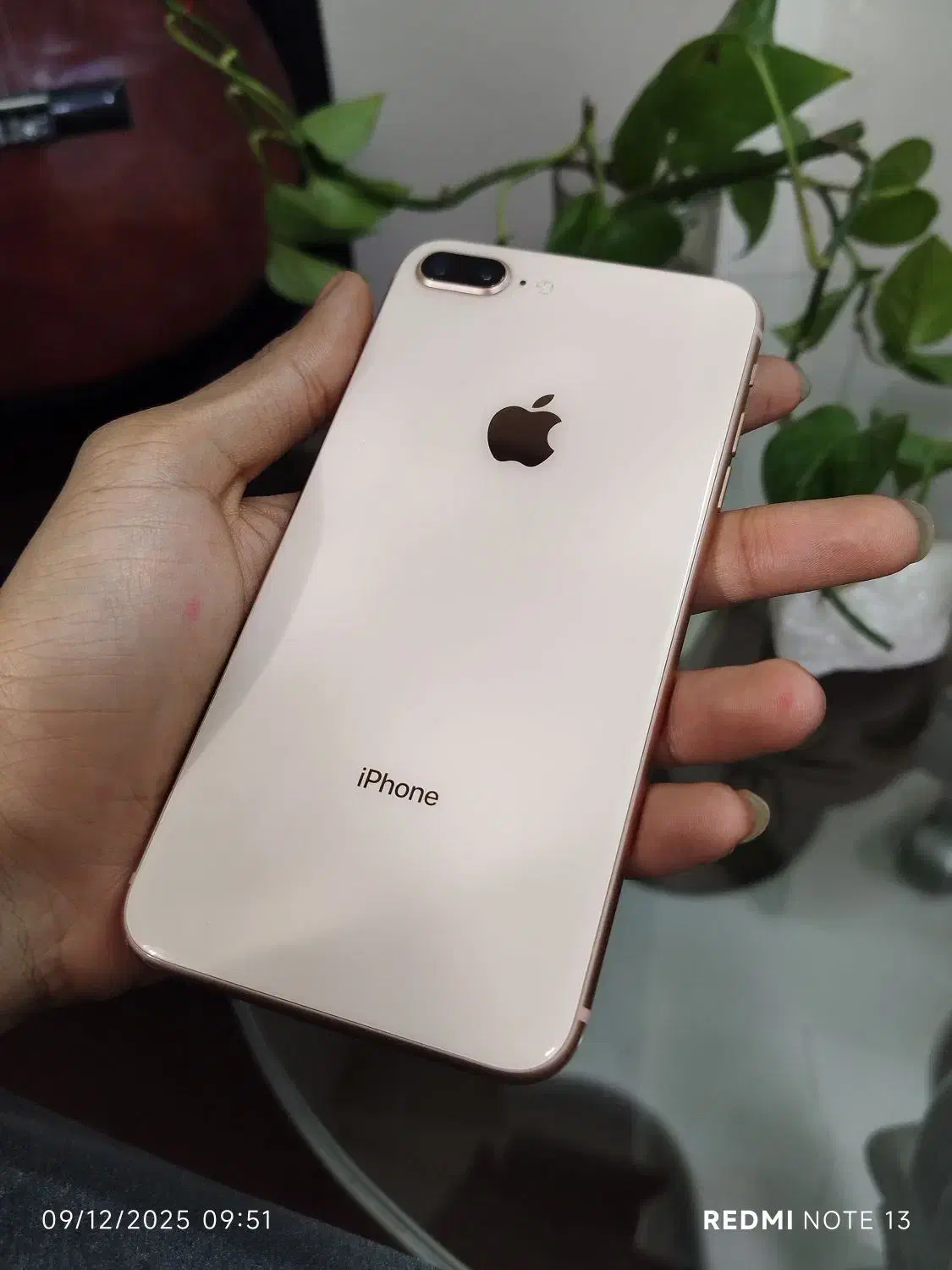 ایفون ایت پلاس درحد آکبند|موبایل|مشهد, گلبرگ|دیوار