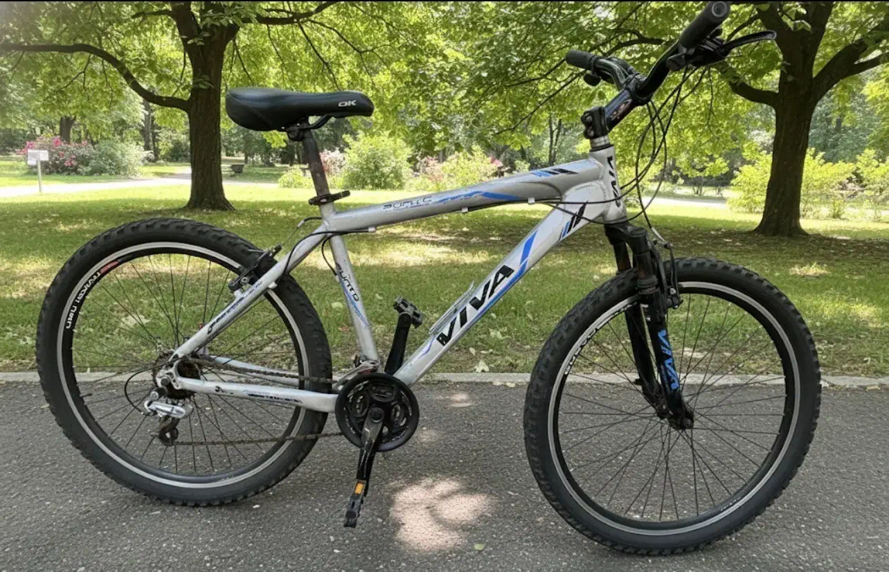 دوچرخه Viva سایز ۲۶|دوچرخه، اسکیت، اسکوتر|قائمشهر, |دیوار