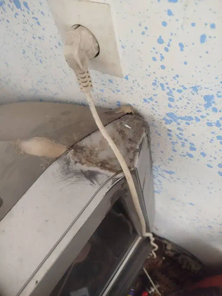 تلویزیونرنگی|تلویزیون و پروژکتور|گرگان, |دیوار