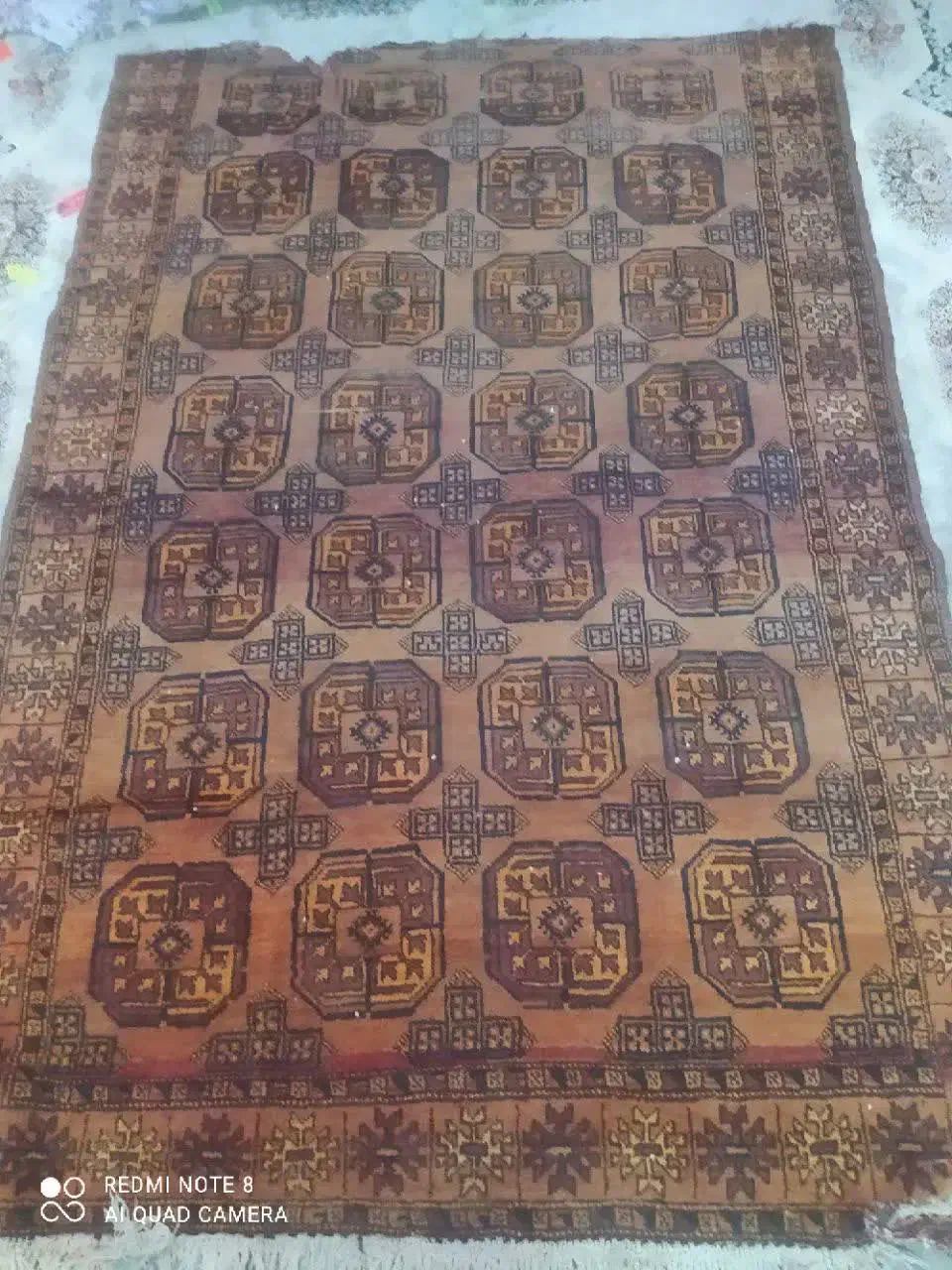 جاجیم وفرش|گلیم، جاجیم، گبه|قوچان, |دیوار