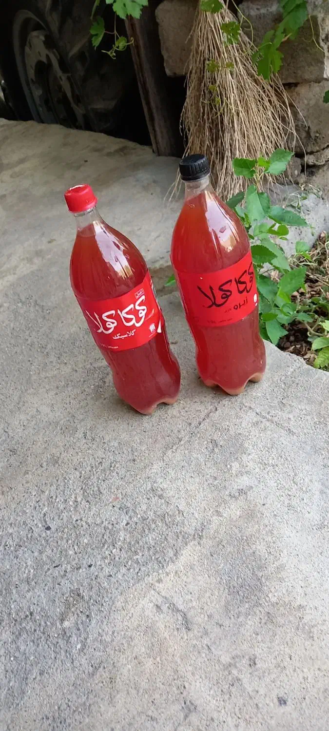 آبغوره ترش و خوشمزه تمیز ارگانیک موجوده|خوردنی و آشامیدنی|صحنه, |دیوار