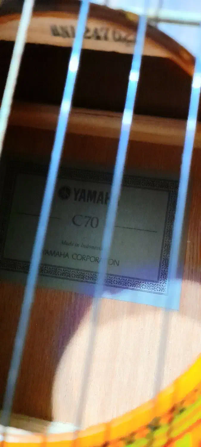 فروش فوری گیتار|گیتار، بیس، امپلیفایر|قائم‌شهر, |دیوار