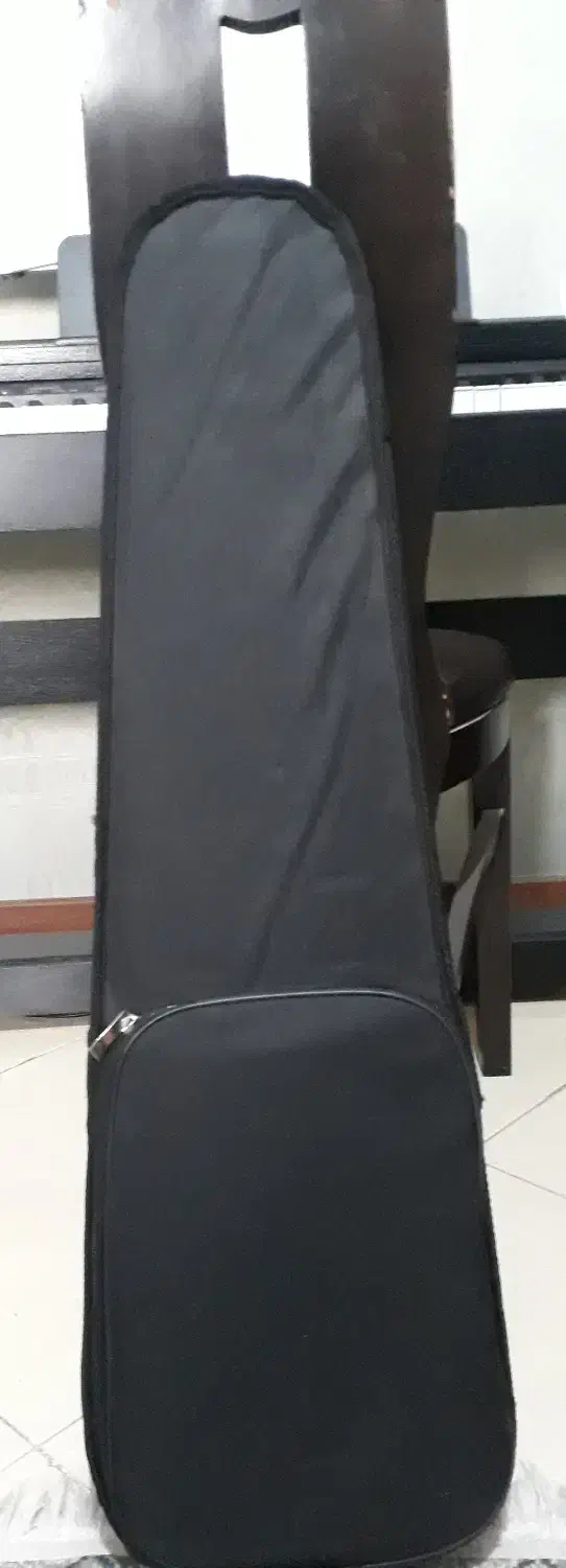 ویولون|ویولن|فولادشهر, C1|دیوار