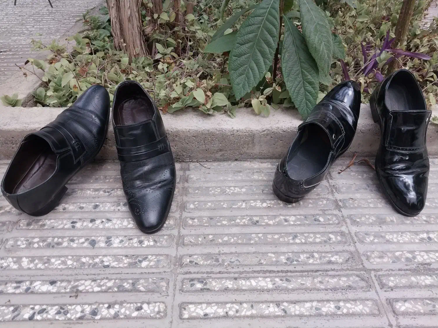 کفش مردانه|کیف، کفش، کمربند|گرگان, |دیوار