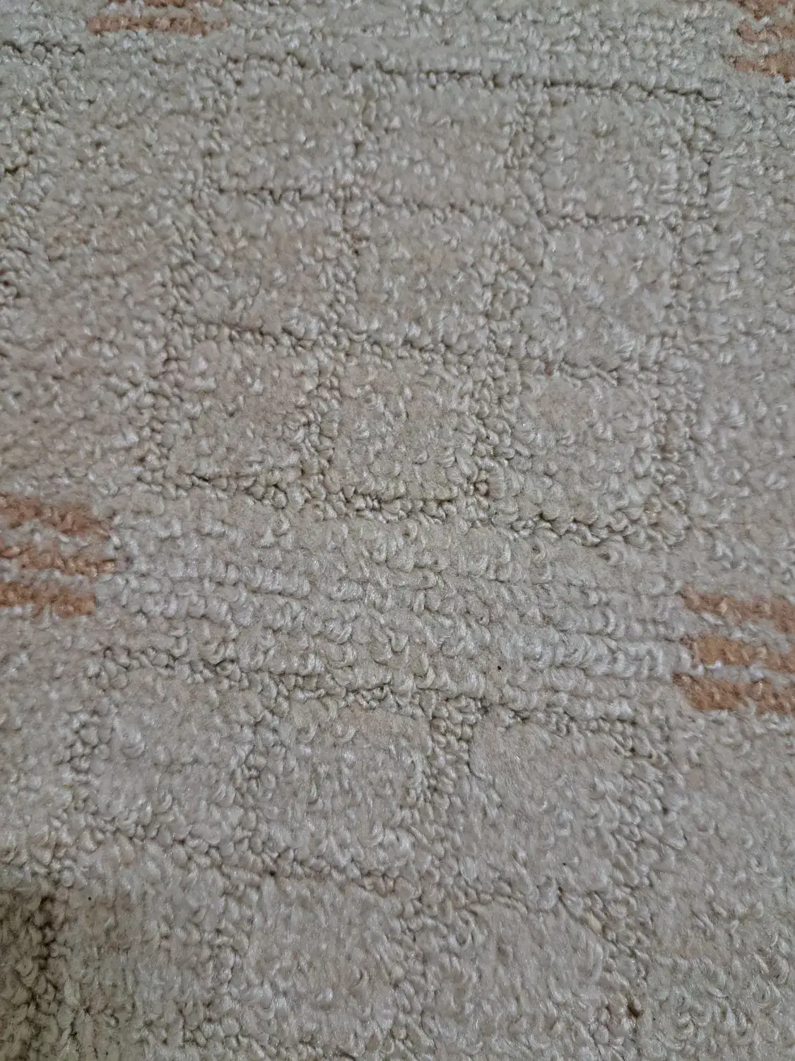 موکت پالاز|موکت|قم, پردیسان|دیوار