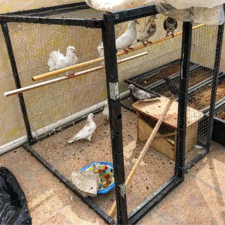 ساخت گنجه باز و بسته شو قفس قابل حمل|لوازم جانبی حیوانات|تهران, فلاح|دیوار