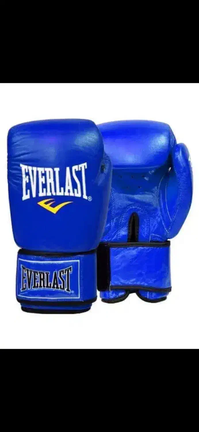 دستکش بوکس چرم|تجهیزات ورزشی|پرند, فاز ۶|دیوار