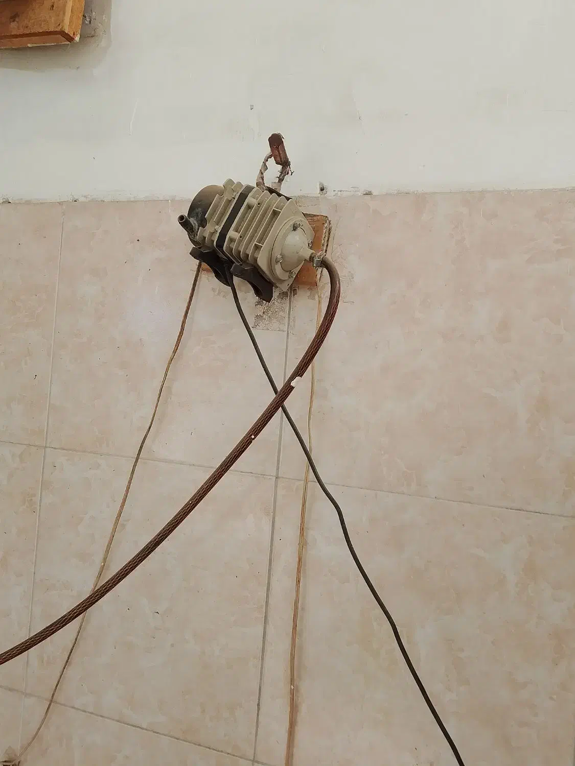 وسایل مرغ فروشی  و آکواریم و منقل|ماهی|مریوان, |دیوار