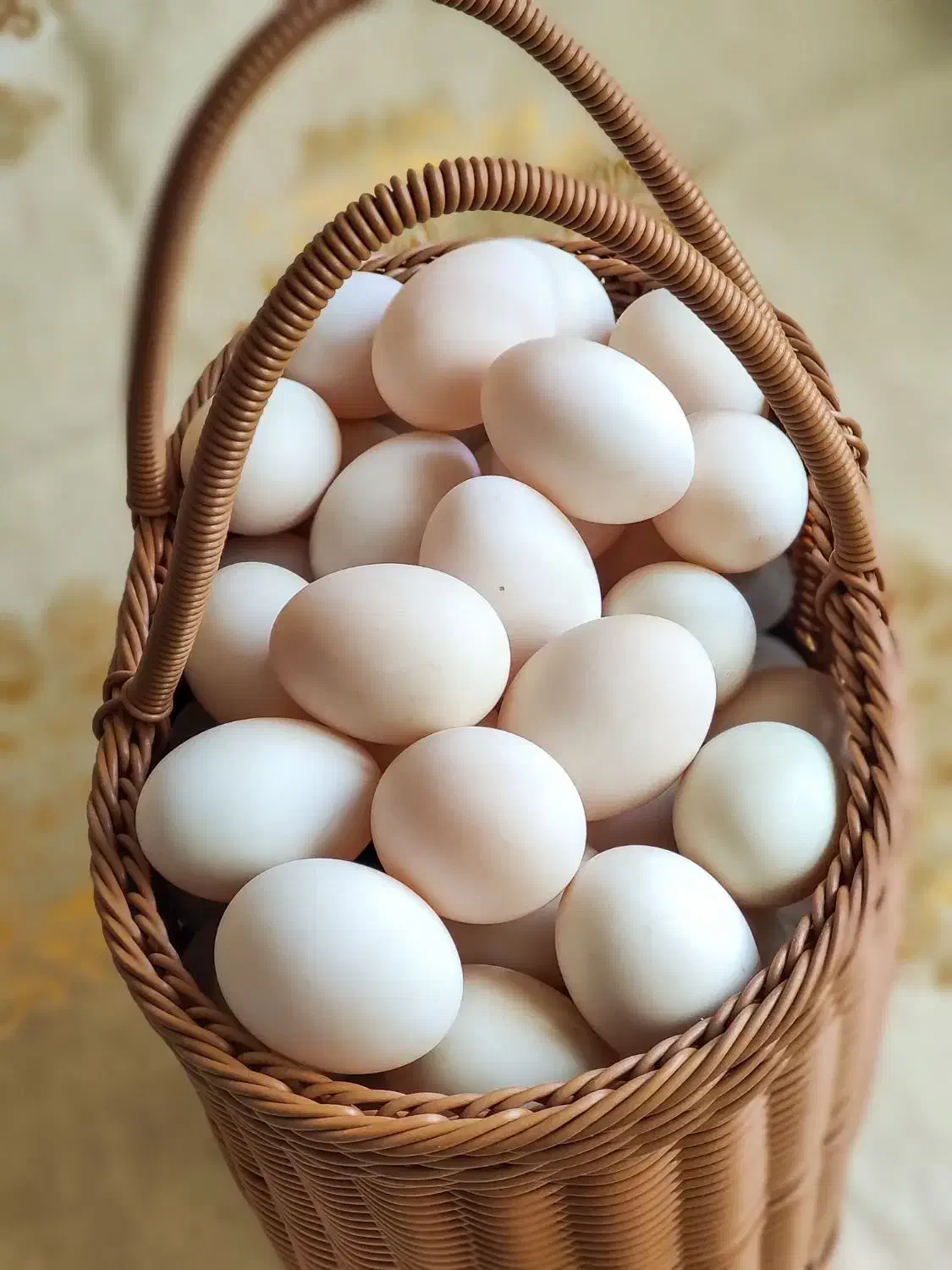 تخم اردک تازه و محلی|خوردنی و آشامیدنی|نجف‌آباد, رجایی شمالی|دیوار