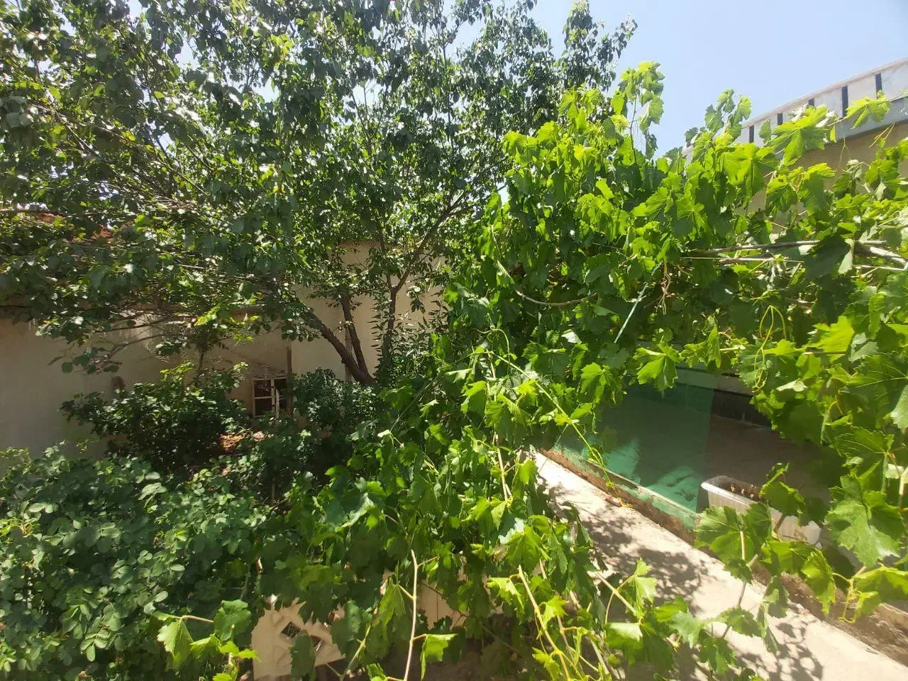 فروش خانه ویلایی|فروش خانه و ویلا|بشاریات, |دیوار